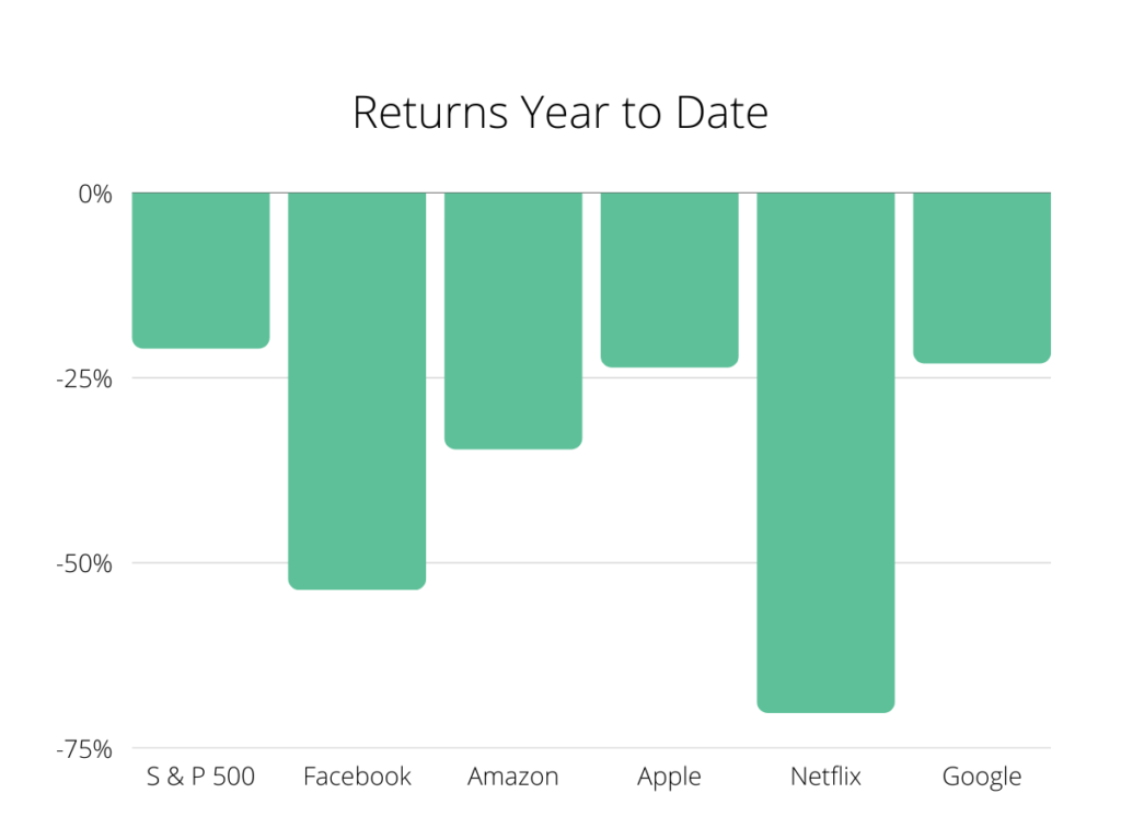 SP 500, Facebook, amazon, Apple, Netflix, Google YTD returns for 2022